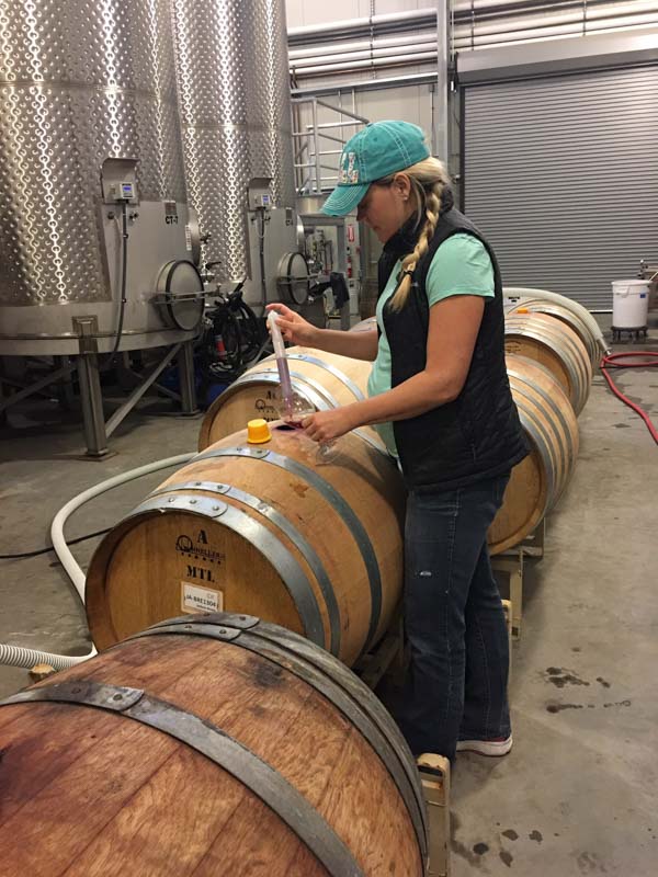 Tasting and checking