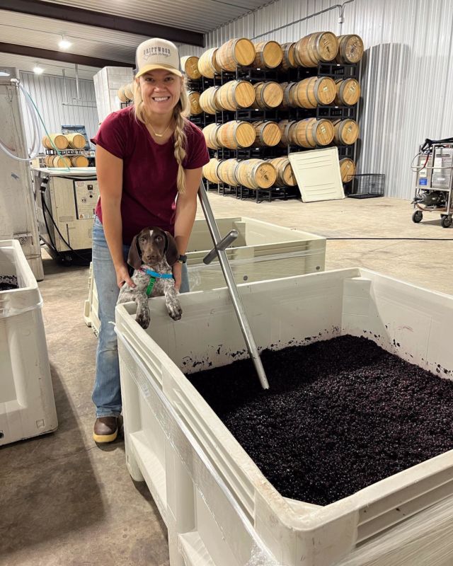 Last punchdowns and pumpovers of the 2022 Harvest season in TX! 
Happy Fall Y’all! 🍷🤠🍁
#jaclynnreneewines #driftwoodeststewinery #harvest2022 #equinox #autumnequinox #sage #txhcwine #hillcountry #texaswine #txwinecountry #wine #vino #cheers