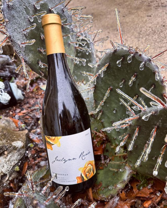 Brrrr Y’all! It’s cold! We hope everyone is staying warm this week. We just tasted our 2021 Chardonnay from @sangiacomovineyards again before it’s release next week and it is FABULOUS! We cannot wait to share it with y’all. Club Shipments go out next week. DM us if you are interested in joining. ✌🏼❤️🍷

#jaclynnreneewines #chardonnay #petalumagap #sangiacomovineyard #sonomacounty #newrelease #smallproduction #smallbusiness #wine #vino #iceappocalypse #texas #icestorm #wineclub #womeninwine #cheers