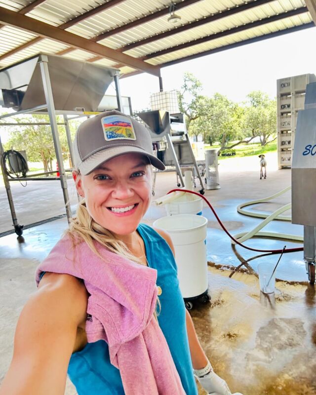 Ok y’all! T-minus 2 days until harvest starts here in the Tx Hill Country at @driftwoodestatewinery !! 
This will mark my 17th vintage making wine… and 4th vintage making wine in TX!! 🤠🍷🍇
Alsoooo! T-Minus 2 days until we have a kiddo turning double digits!! Time, please sloooow down! #madalyngracedownes #jaclynnreneewines #driftwoodestatewinery #txhcwine #txhc #texaswine #texashillcountrywineries #wine #womeninwine #vintage2024 #harvest2024 #cheers #vino